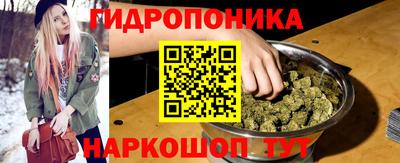 стафф Новодвинск