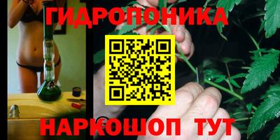стафф Новодвинск