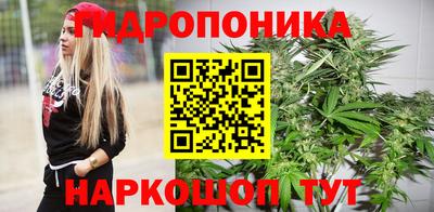гидра Новокубанск