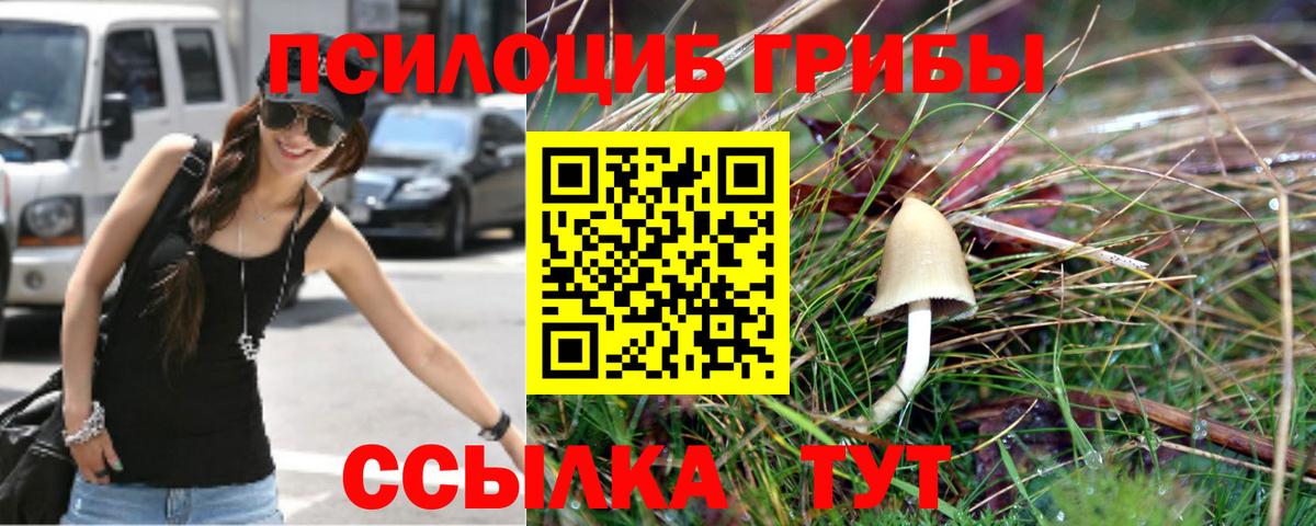 Псилоцибиновые грибы мухоморы  Вход с VPN  Псилоцибиновые грибы ЛСД  Черняховск 