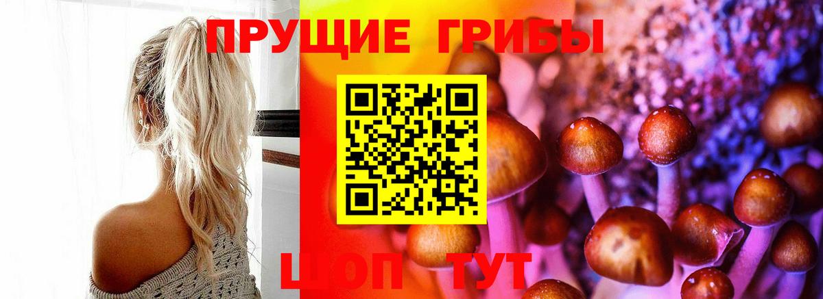 Галлюциногенные грибы мухоморы Черняховск